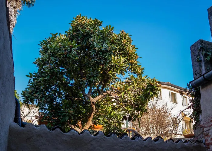 Progress Apartamento *