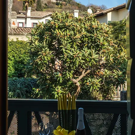 Progress Asolo